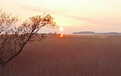 Morgensonne an der Ostsee